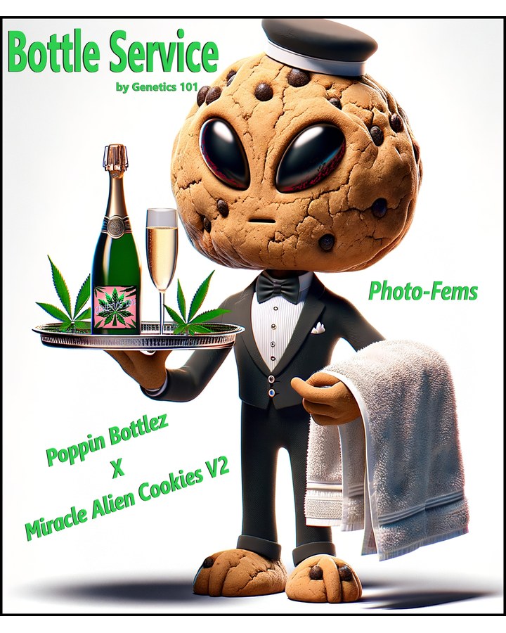 Bottle Service