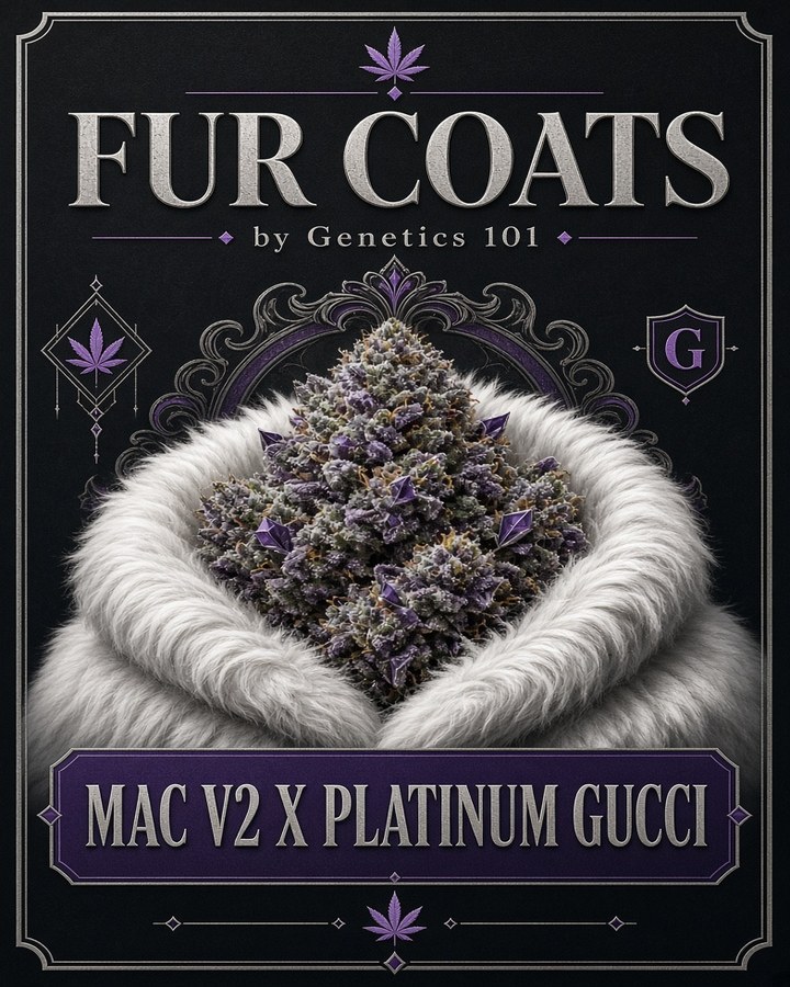 Fur Coats