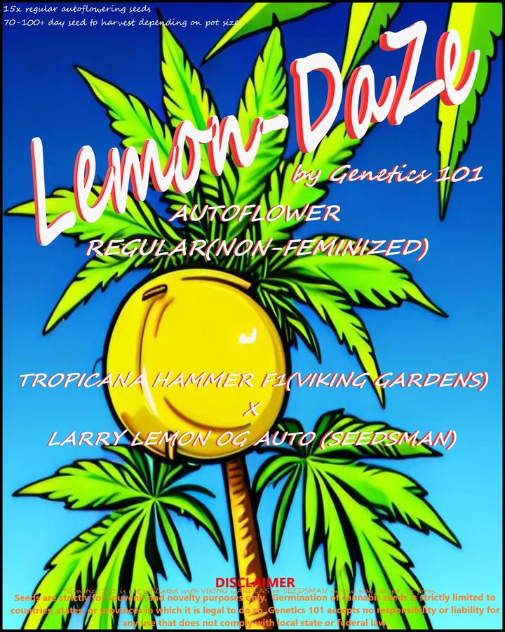 Lemon Daze