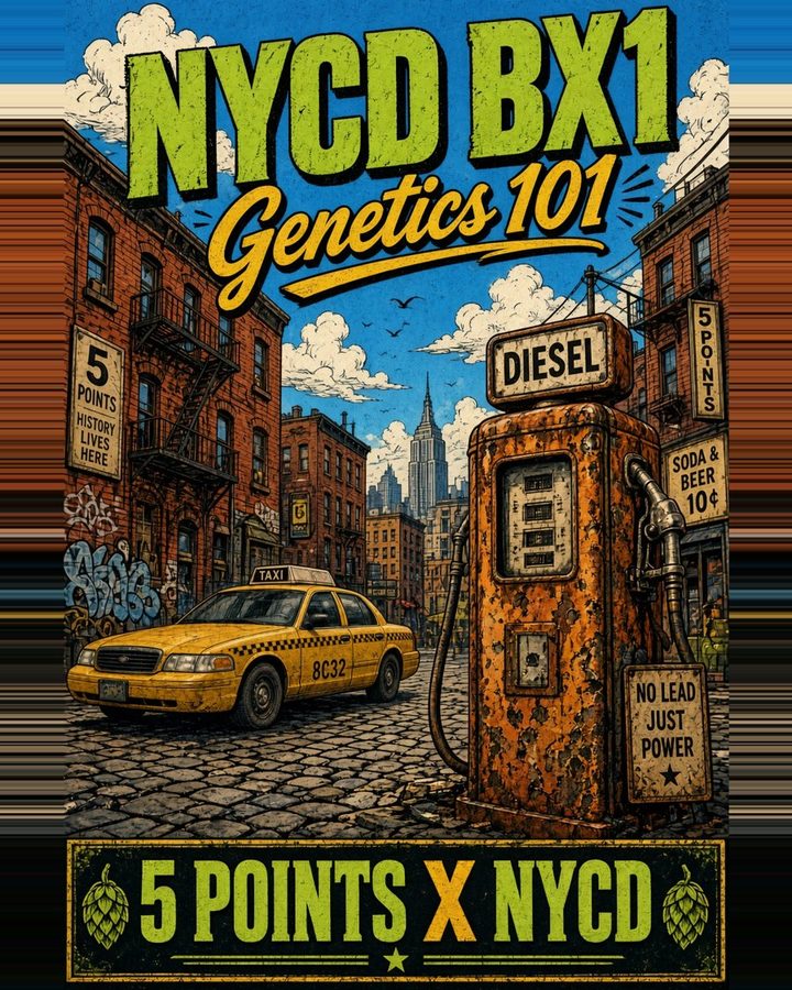 NYCD BX1