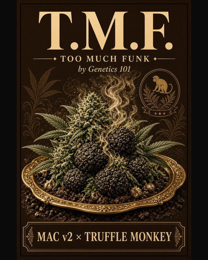 T.M.F. Too Much Funk