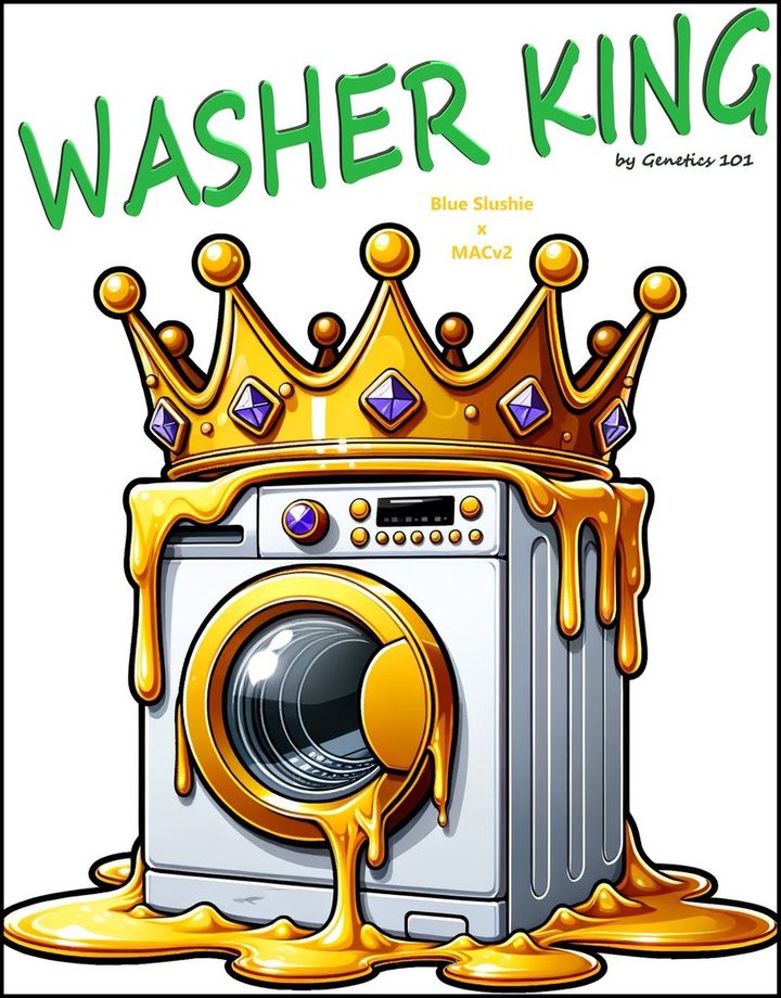 Washer King